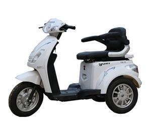 天津老年代步車